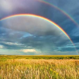 rainbow and wheat